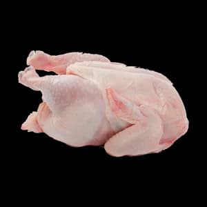Fresh and tender chicken meat, suitable for various culinary preparations.